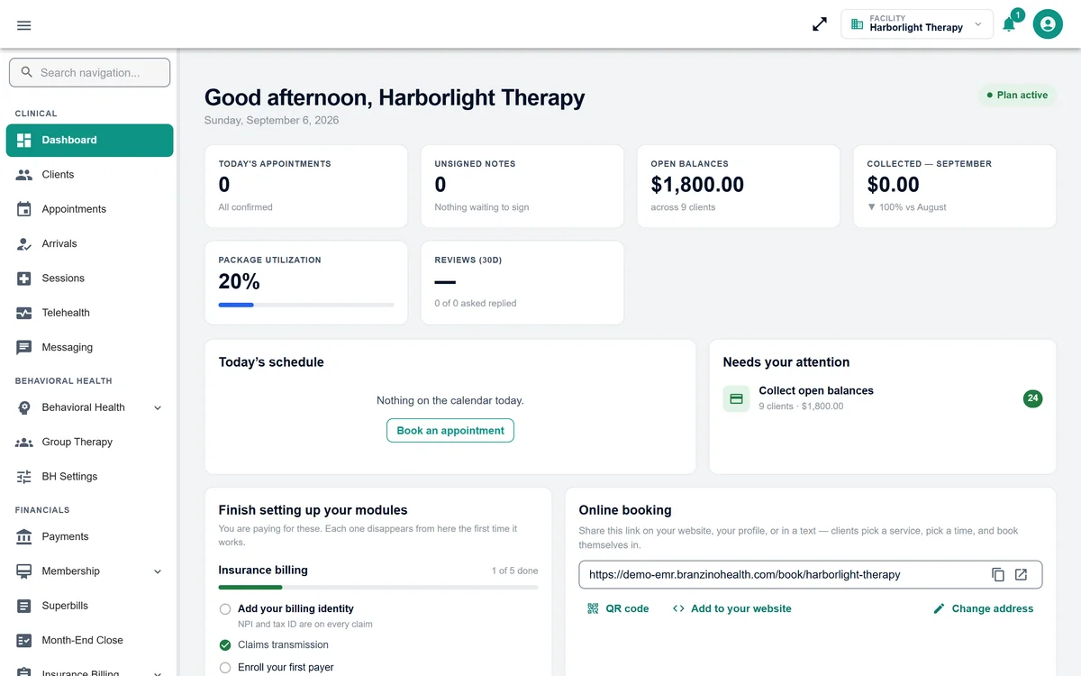 Branzino dashboard for a therapy practice: today's appointments, unsigned notes, open balances, collections, and a needs-your-attention list