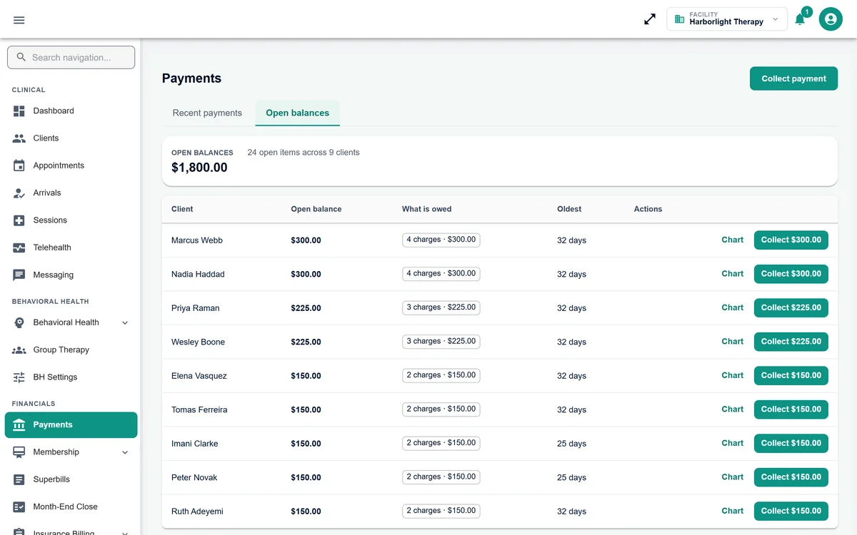 Branzino payments screen showing open balances by client with one-click collect buttons